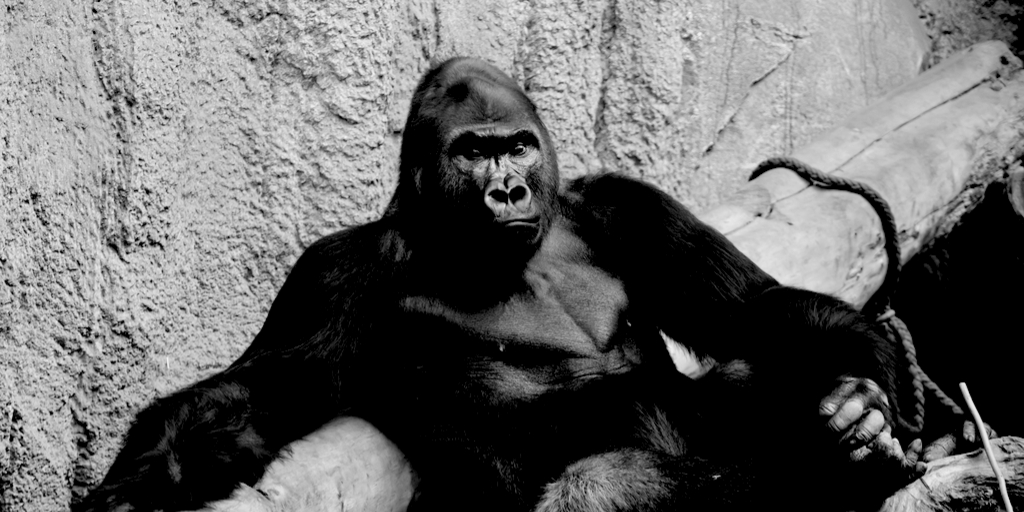 不動産,ブラック,あるある