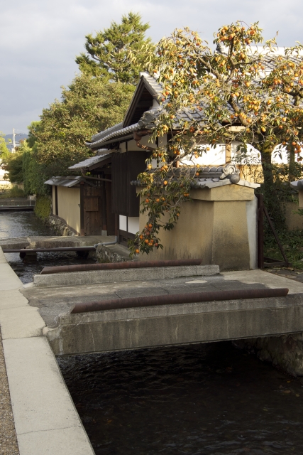 物件調査,建築計画概要書
