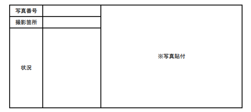 インスペクション,報告書