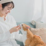 【高付加価値賃貸経営の羅針盤】人口減少時代を勝ち抜くペット共生型物件戦略